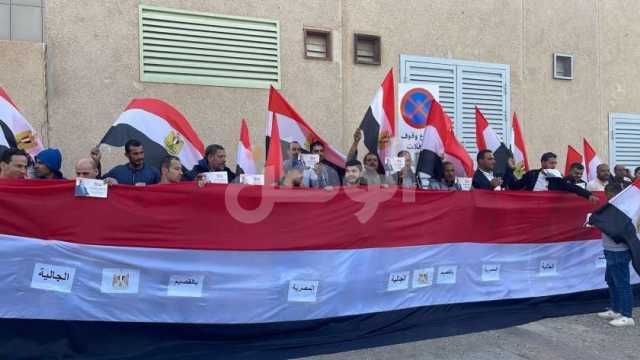 طوابير وأعلام واحتفالات للمصريين بالرياض في الانتخابات الرئاسية (فيديو)