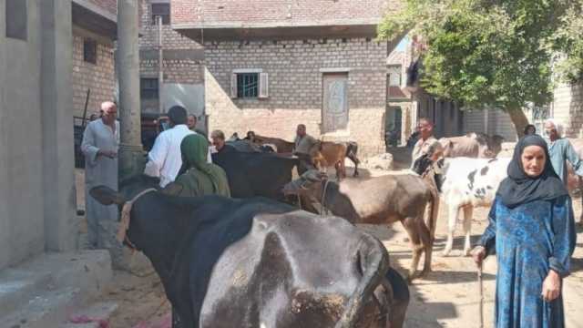 عضو التحالف الوطني ينظم قافلة بيطرية ضمن مبادرة «بداية» بالمنيا