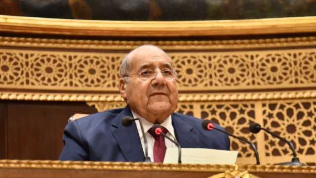 رئيس مجلس الشيوخ: مصر تدعم ليبيا والسودان في أزمتهما