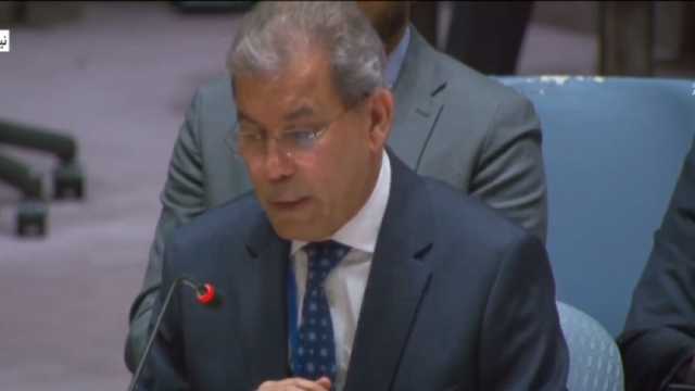 مصر ترحب باعتماد مجلس الأمن قرار يطالب بوقف إطلاق النار في غزة