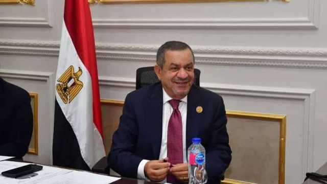 عضو بـ«الشيوخ»: كلمة الرئيس السيسي في احتفالية «قادرون باختلاف» طمأنت المصريين