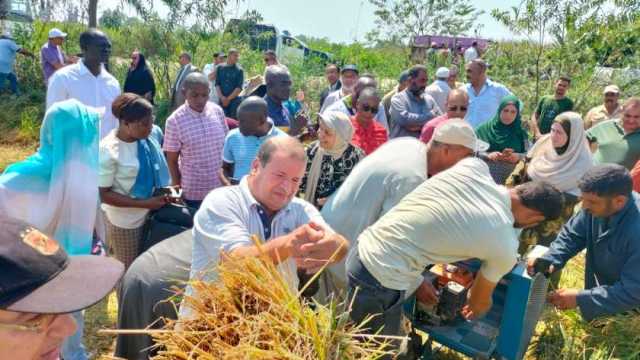 «البحوث الزراعية» ينظم يوما حقليا لحصاد الأرز بالدقهلية
