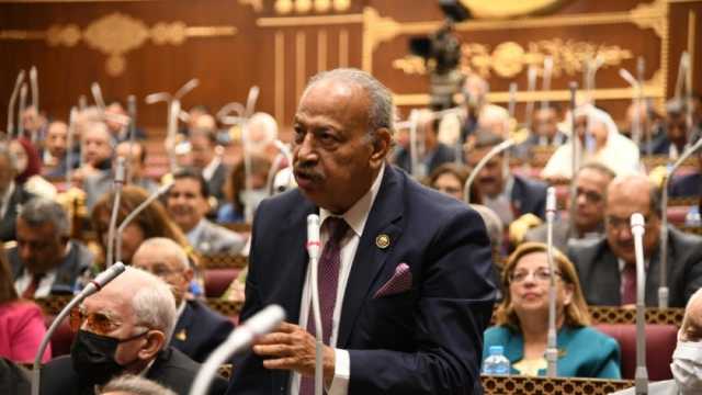 عضو بـ«الشيوخ»: الشعب المصري يصطف خلف السيسي في التصدي لتهجير الفلسطينيين