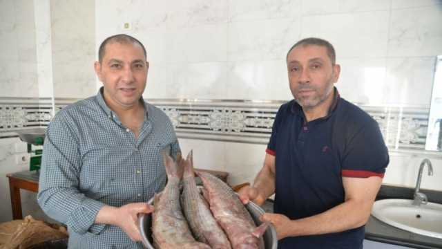 أقدم عائلات «نبروه» تكشف أسرار السمك المملح