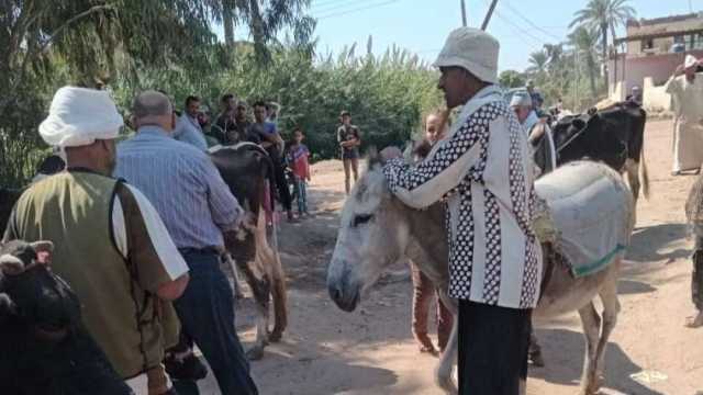 فحص 1490 حالة من الماشية والطيور في قافلة مجانية بكفر الشيخ