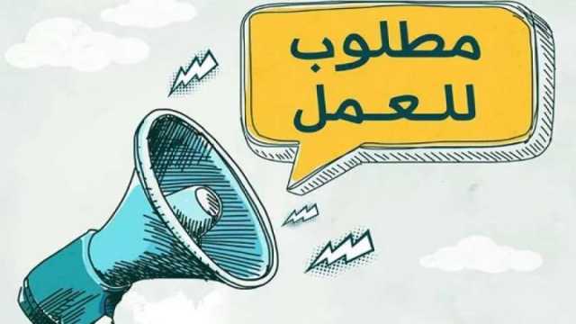 يوم توظيفي للشباب.. اعرف مميزات الوظائف وشروط التقديم