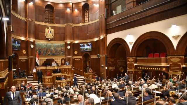 رئيس «زراعة الشيوخ» يطالب بمراجعة قوانين الاستثمار في مصر