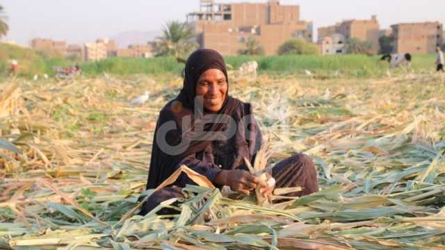 «صابرة» صعيدية احترفت مهن الرجال لتربية أبنائها.. «مش عايزة غير الستر والصحة»