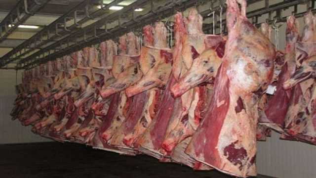 انخفاض أسعار اللحوم في الأسواق اليوم الخميس 26-10-2023