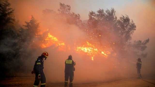 حرائق الغابات تلتهم شرق أستراليا.. والسلطات تطالب بإخلاء المنازل (فيديو)