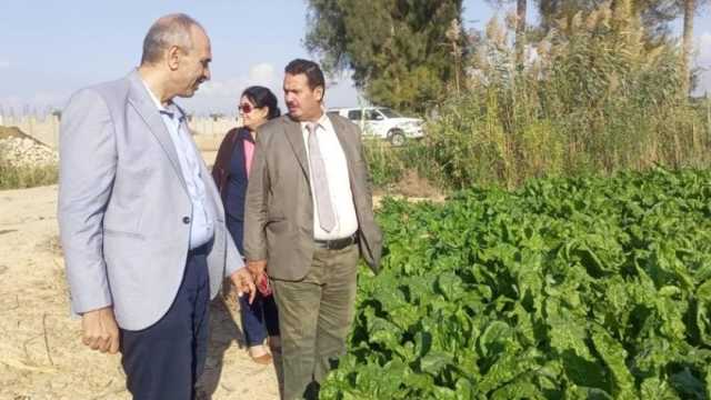 «الإرشاد الزراعي» يتابع توزيع تقاوي المحاصيل الشتوية في الإسكندرية