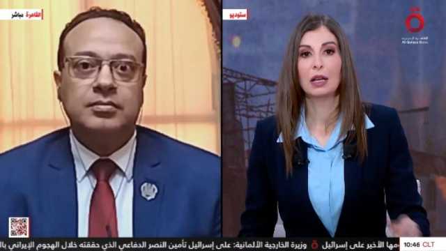 أستاذ علاقات دولية: لعبت مصر دورا محوريا في إيجاد حل ودعما للقضية السودانية