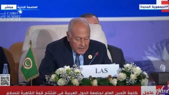 «أبو الغيط»: بدون حل الدولتين ستستمر دوامة العنف في المنطقة
