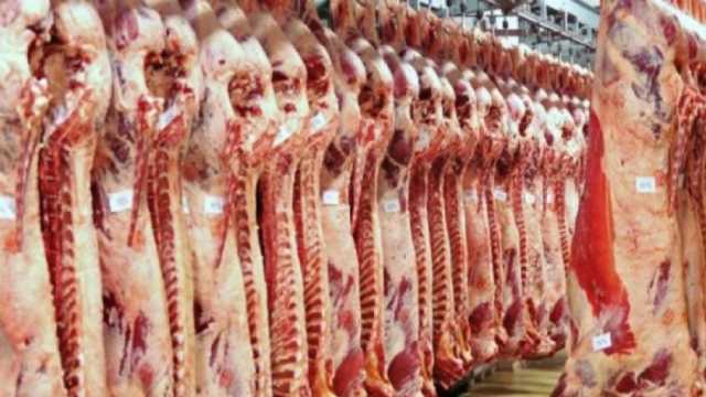 نقيب الفلاحين: انخفاض الأسعار في سوق المواشي الحية واللحوم