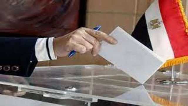 ما آخر لجنة انتخابية تفتح أبوابها للمصريين للتصويت في الخارج؟