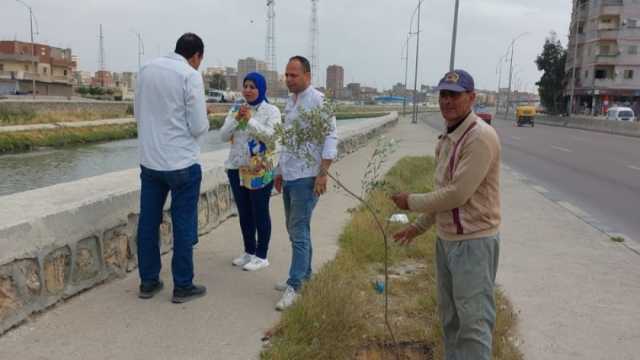 زراعة 33 ألف شجرة منذ انطلاق المرحلة الثانية من المبادرة الرئاسية بالإسكندرية