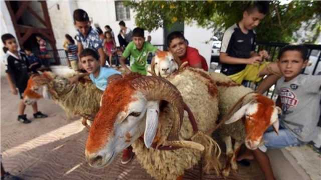 الدول العربية تعلن إجازة عيد الأضحي.. مصر الأطول بـ9 أيام ولبنان الأقصر بـ«يومين»