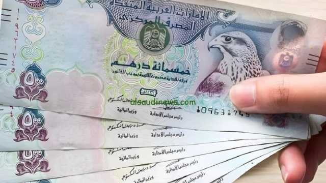 سعر الدرهم الإماراتي مقابل الجنيه المصري في البنوك اليوم الثلاثاء