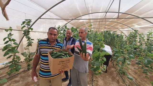 وزير الزراعة: مساحة مصر الزراعية تقترب من 10 ملايين فدان