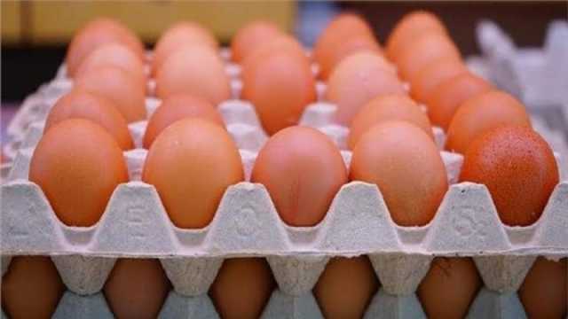 «الزراعة»: طبق البيض يباع للمستهلك بـ125 جنيها ضمن مباردة تخفيض الأسعار