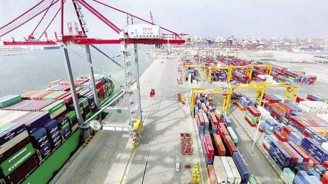 تفاصيل حركة الصادرات والواردات من البضائع العامة بميناء دمياط البحري