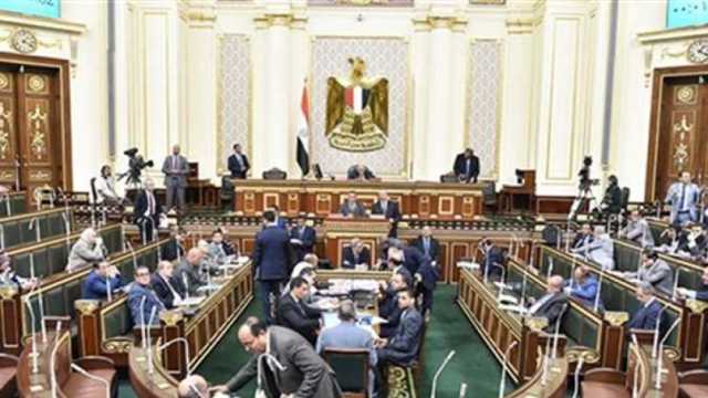 نائبة «التنسيقية»: تمثيل المرأة في البرلمان المصري تخطى النسبة المتوسطة