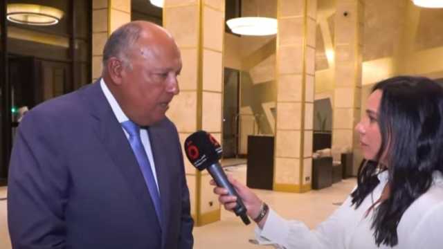 وزير الخارجية: الرؤية المصرية تشمل العمل بكل جهد لصالح الشعب السوداني