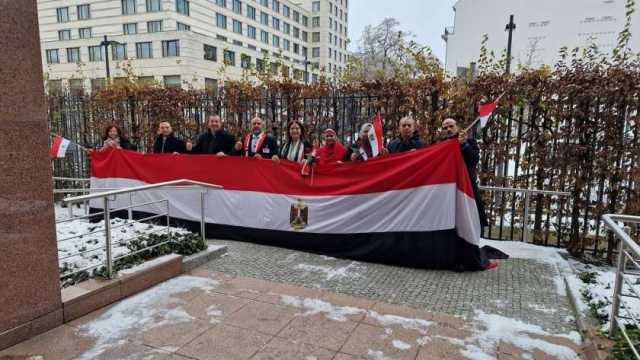 أستاذ قانون دولي: «الوطنية للانتخابات» نجحت في تسهيل تصويت المصريين بالخارج