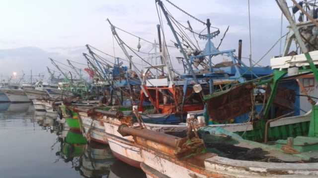 «الصيد الآلي» تحذر الصيادين من الطقس السيئ: يجب إجراء صيانة كاملة قبل الإبحار