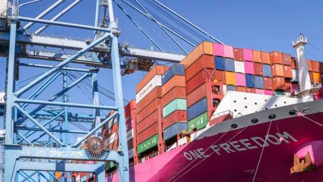 ميناء دمياط يستقبل 25 ألف طن بضائع خلال 24 ساعة