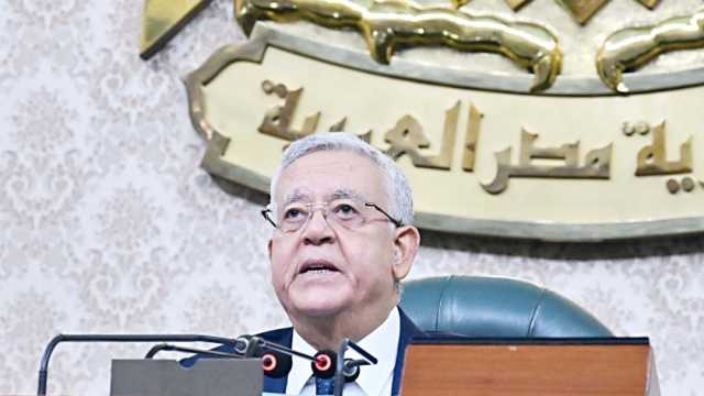 رئيس «أفريقية النواب»: العالم سيدرك قدرة المصريين على ممارسة حقوقهم السياسية