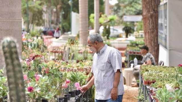 معرض الزهور 2024.. إليك الموعد وأفضل طريقة لزيارته