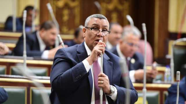 وكيل «خطة النواب»: مصر لن تتخلى عن دورها في دعم القضية الفلسطينية