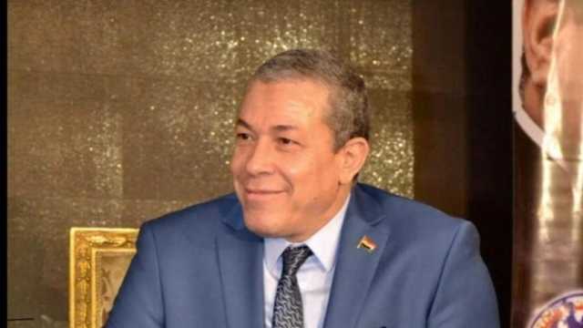 رئيس الجالية المصرية في باريس يطالب بترشح السيسي لاستكمال التنمية