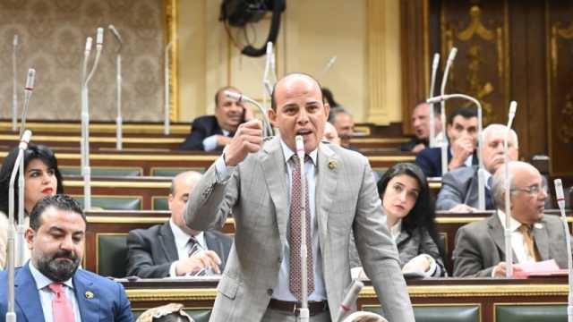 برلماني: الدولة تسعى إلى تحسين ظروف معيشة المصريين رغم الأزمات الدولية