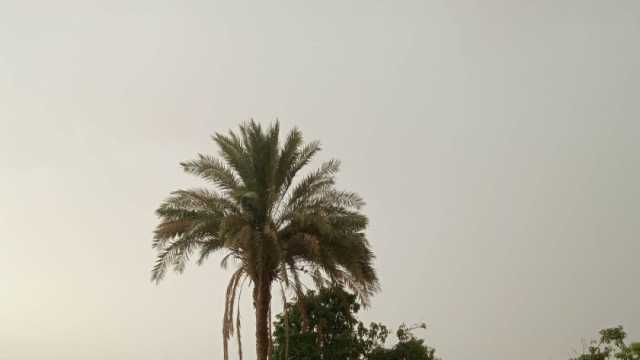 أمطار ورياح.. «الأرصاد» تحذر من عدم استقرار الأحوال الجوية غدا