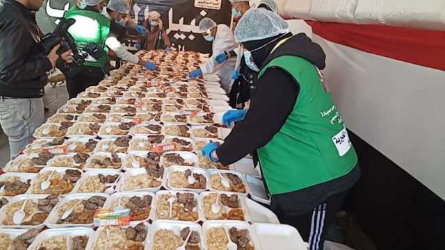 التحالف الوطني بالبحيرة: توزيع 2000 وجبة غذائية على الأسر الأكثر احتياجا