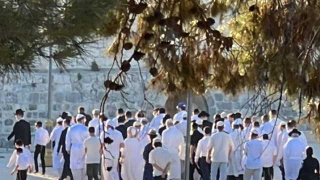 في أول أيام عيد العرش اليهودي.. 300 مستوطن يقتحمون المسجد الأقصى