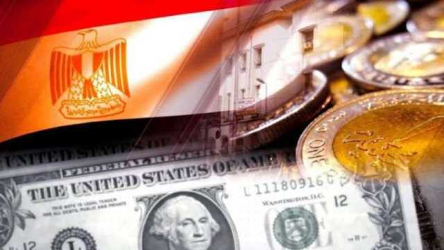 نجاح جديد لمصر.. كيف سددت الدولة ديون بـ25 مليار دولار في 4 أشهر؟