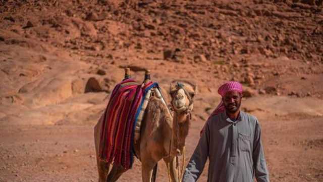 أشهر 10 أمثال بدوية في جنوب سيناء.. منها «الجيزة مراجل»