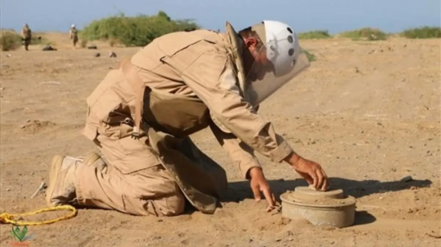 “مسام” يطهّر الأراضي اليمنية من 772 لغمًا خلال الأسبوع الأخير من أغسطس
