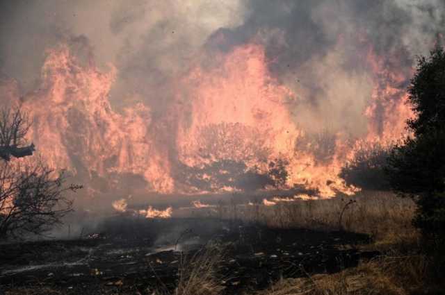 موجة طقس شديدة الحرارة تشعل 44 حريقًا بغابات جزيرة سومطرة الإندونيسية