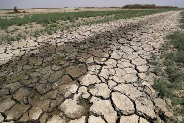 للبحث عن حلول للجفاف وتدهور الأراضي.. المملكة تستضيف هذا العام 196 دولة بمؤتمر “كوب 16”