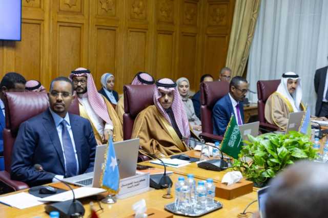 وزير الخارجية يشارك في اجتماعين عربيين بشأن دعم الصومال ومتابعة التدخلات التركية