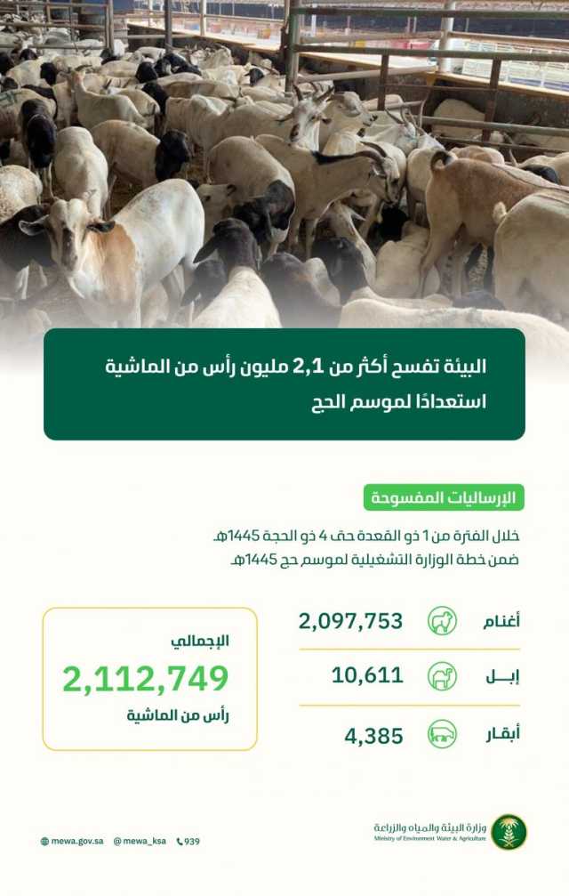 لتلبية احتياجات موسم الحج.. “البيئة” تفسح 2.1 مليون رأس ماشية منذ بداية ذي القعدة