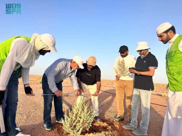 لقياس كمية انبعاثات الغازات الدفيئة.. “الغطاء النباتي” يُجري دراسة للبصمة الكربونية لمحطة التمريات