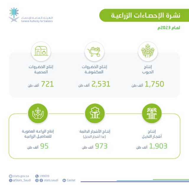 نشرة الإحصاءات الزراعية لعام 2023: إنتاج 1314 ألف طن قمح و721 ألف طن خضراوات بالبيوت المحمية