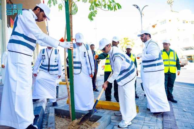 لتعزيز المسطحات الخضراء.. 500 ألف شجرة و3 ملايين زهرة في مبادرة “شرقيتنا خضراء”