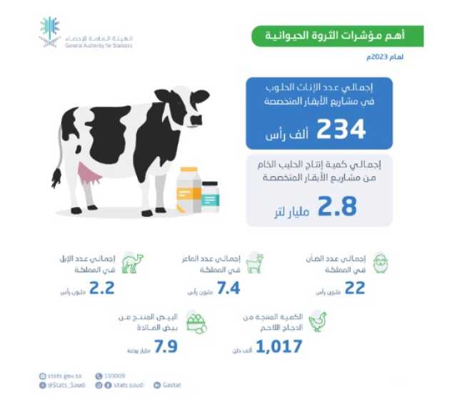 المملكة تنتج 2.8 مليار لتر من الحليب الخام عبر 234 ألف بقرة حلوب خلال عام 2023