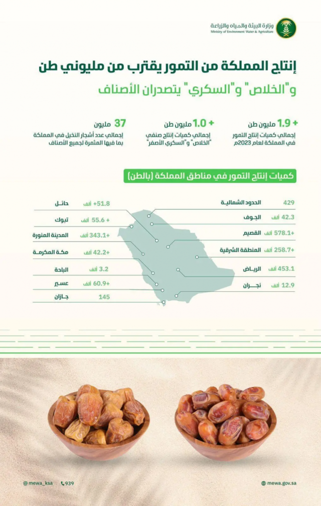 عبر 31.8 مليون نخلة مثمرة.. نمو إنتاج المملكة من التمور إلى نحو مليونَي طن خلال 2023م